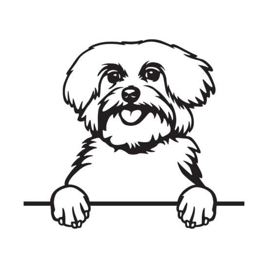 Maltézský psík 2 dřevěná dekorace na zeď Rozměr (cm): 38 x 33 Maltézský psík 2 dřevěná dekorace na zeď Rozměr (cm): 38 x 33