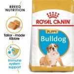 ROYAL CANIN Bulldog Puppy granule pro štěňata 3 kg