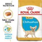 Royal Canin Chihuahua Junior 2 × 1