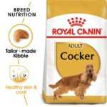 ROYAL CANIN Cocker Adult 2 × 12 kg výhodná nabídka
