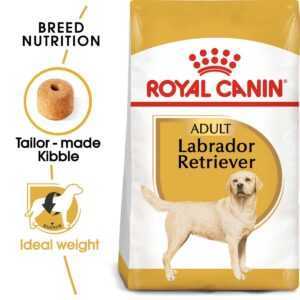 ROYAL CANIN Labrador Retriever 2 × 12 kg