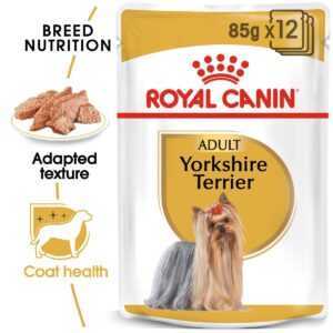 Royal Canin Breed Health Nutrition Yorkshire Terrier