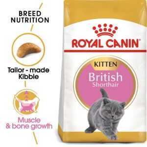ROYAL CANIN British Shorthair suché krmivo pro koťata 10 kg