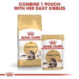 ROYAL CANIN ADULT Maine Coon 10 kg + kapsičky v omáčce 48× 85 g