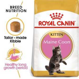 ROYAL CANIN Maine Coon granule pro koťata 2× 10 kg