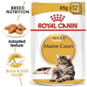 ROYAL CANIN Maine Coon Adult granule pro kočky 48 × 85 g