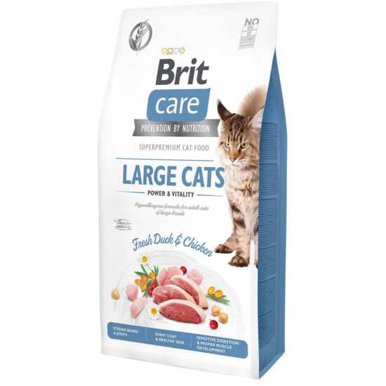 Brit Care GF Large Cats Power & Vitality 2× 7 kg