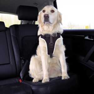 Trixie Dog Protect ochranný postroj pro psy L