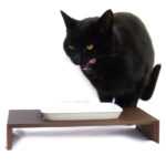 Replus krmná stanice Siamese 1× 0