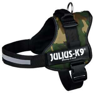 Julius-K9 IDC postroj