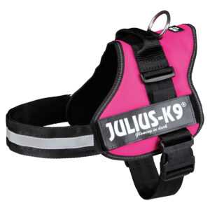 Julius-K9 Power postroj