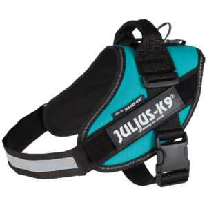 Julius-K9 IDC postroj