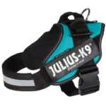 Julius-K9 IDC postroj