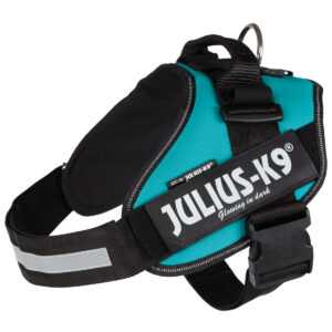 Julius-K9 IDC postroj