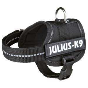 Julius-K9 postroj