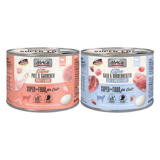 MAC's CAT Kitten MAC's CAT Kitten