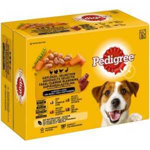 PEDIGREE Pouch Adult výběr drůbežího masa v kombinovaném balení 24 × 100 g