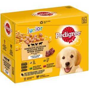 PEDIGREE Pouch Junior Gem. Selektion Multipack 24 × 100 g