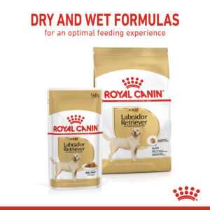 ROYAL CANIN Labrador Retriever Adult 3 kg + Labrador Adult v omáčce 10× 140 g