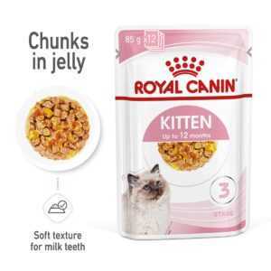 ROYAL CANIN KITTEN v želé pro koťata 48x85g