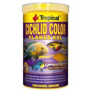 Tropical Cichlid Color XXL