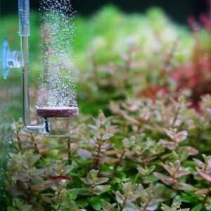 TWINSTAR difuzor CO2 Nový model L – nad 120 l